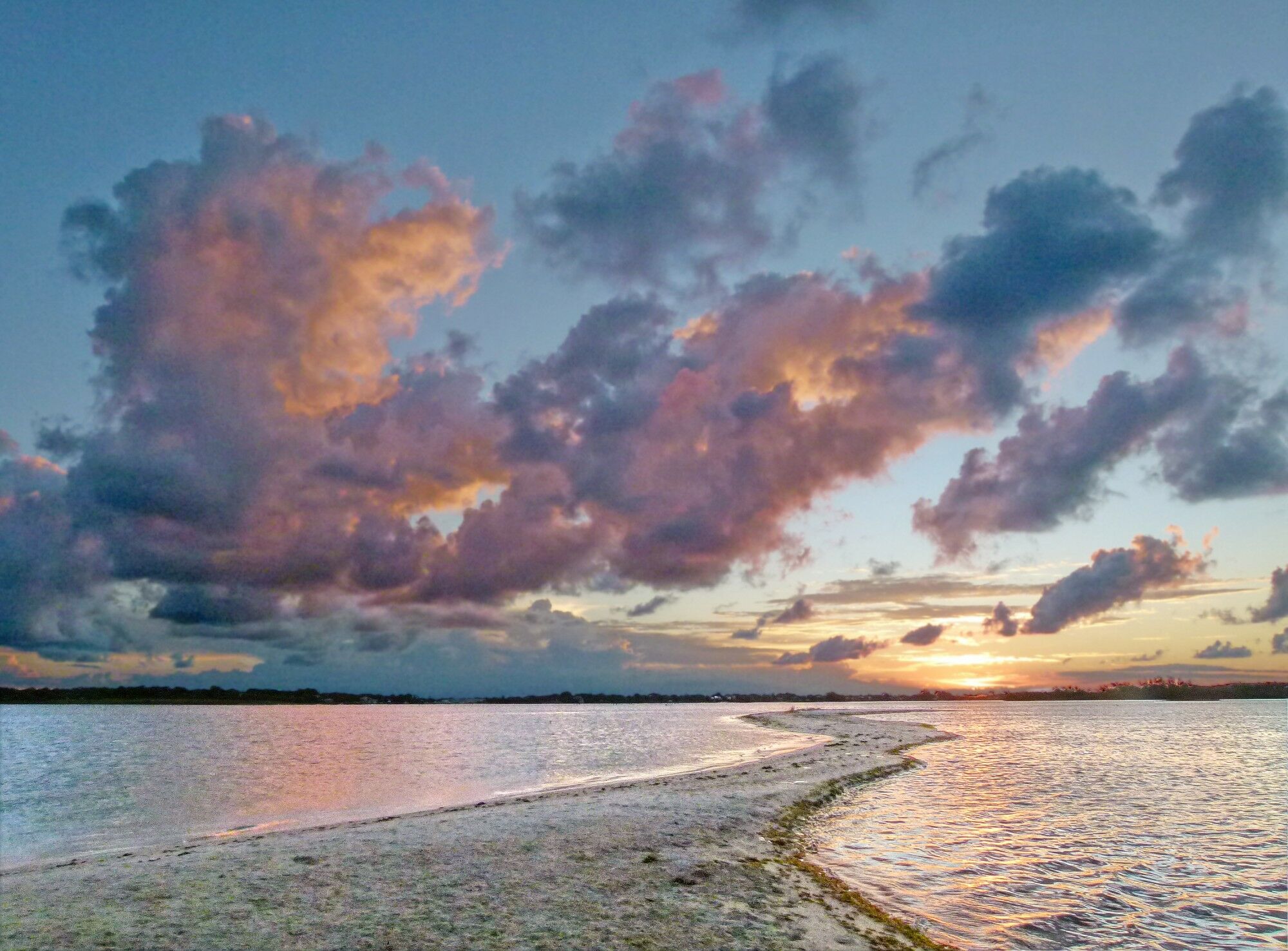 Click to See Next Image